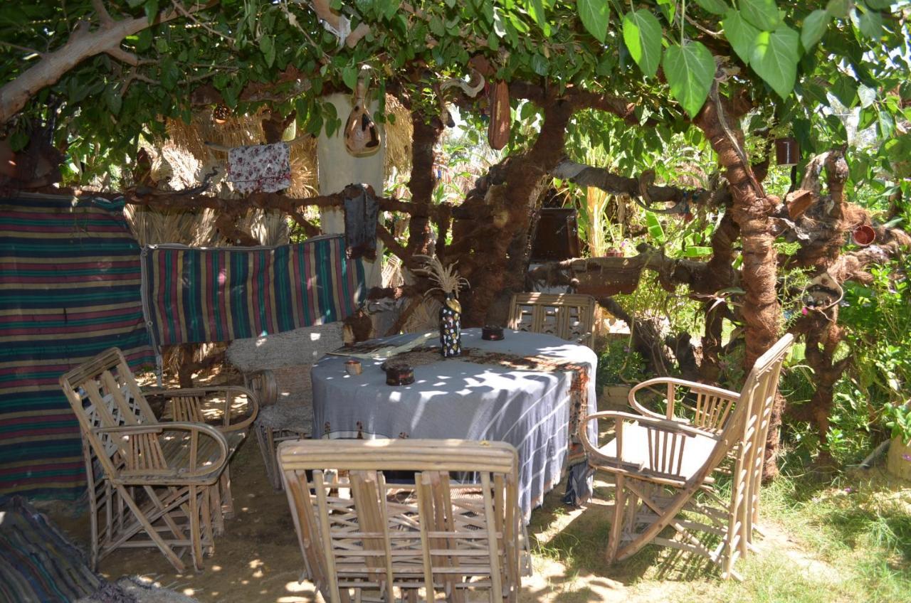 Mountain Camp Ali Khaled Hotel *