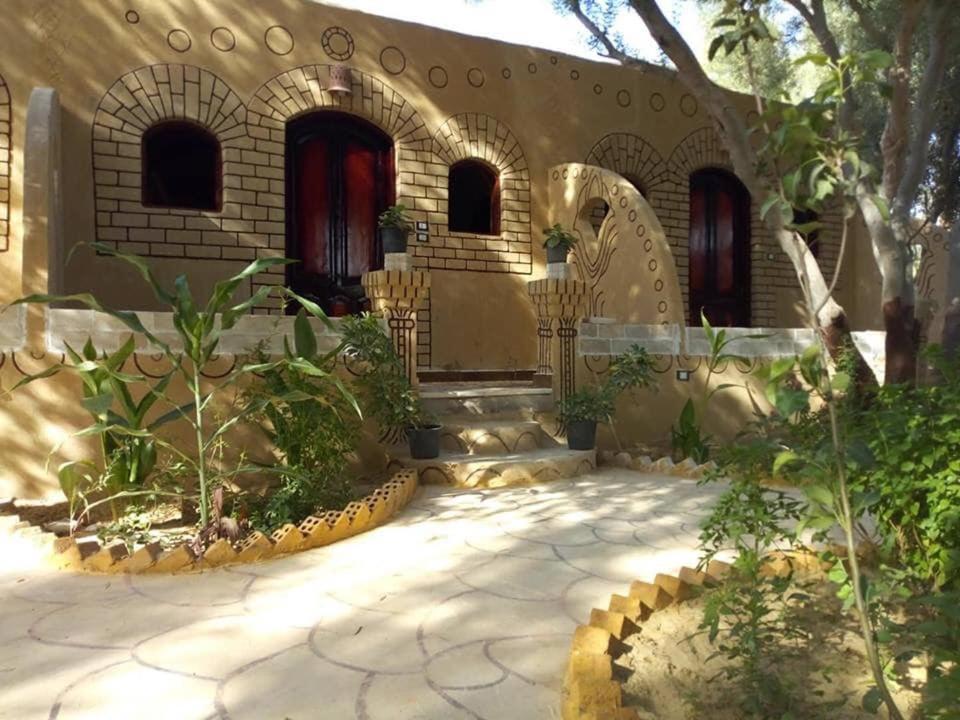 Mountain Camp Ali Khaled Siwa Oasis
