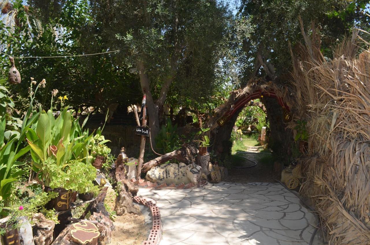 Mountain Camp Ali Khaled *