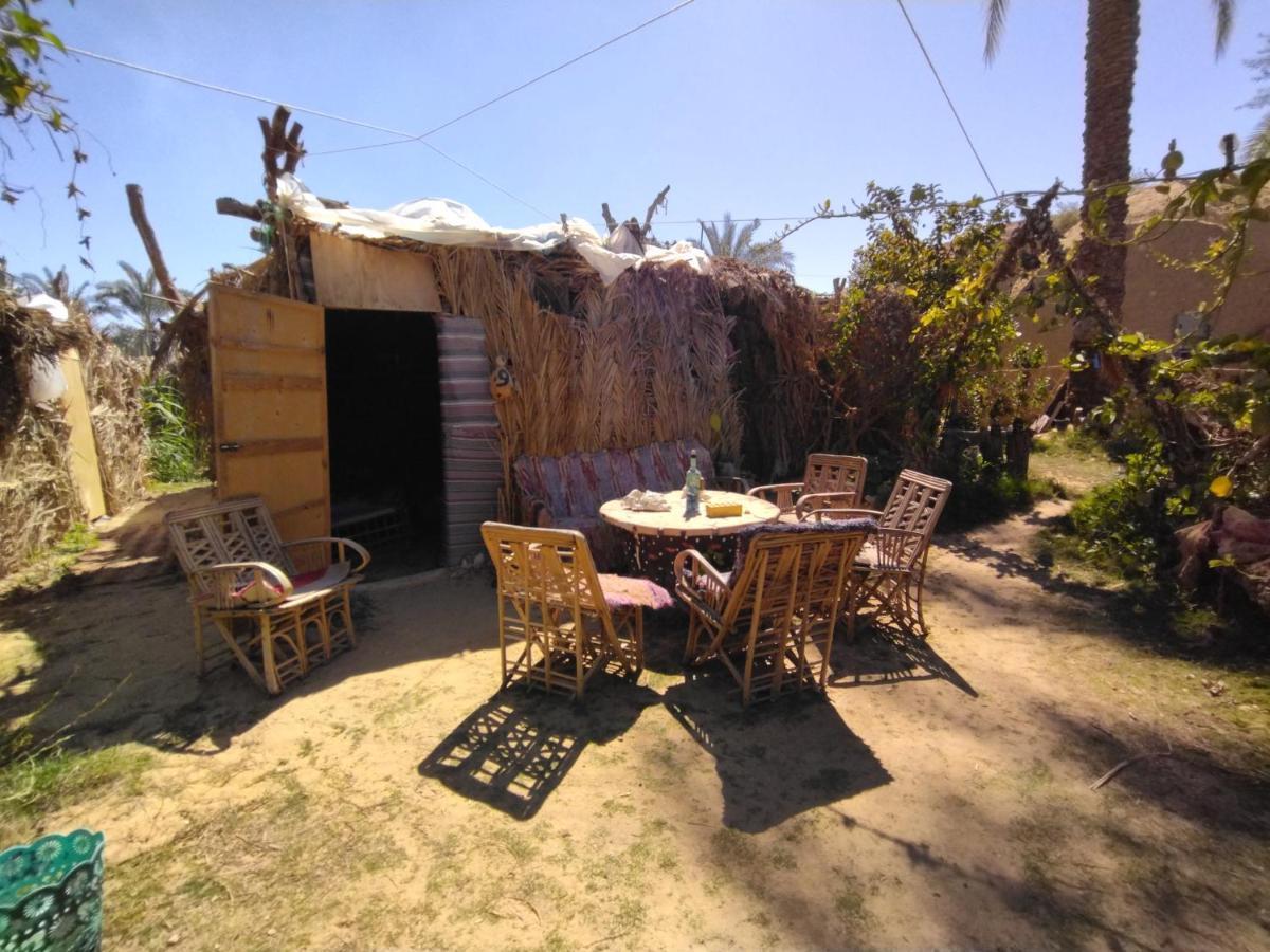 Hotel Mountain Camp Ali Khaled *