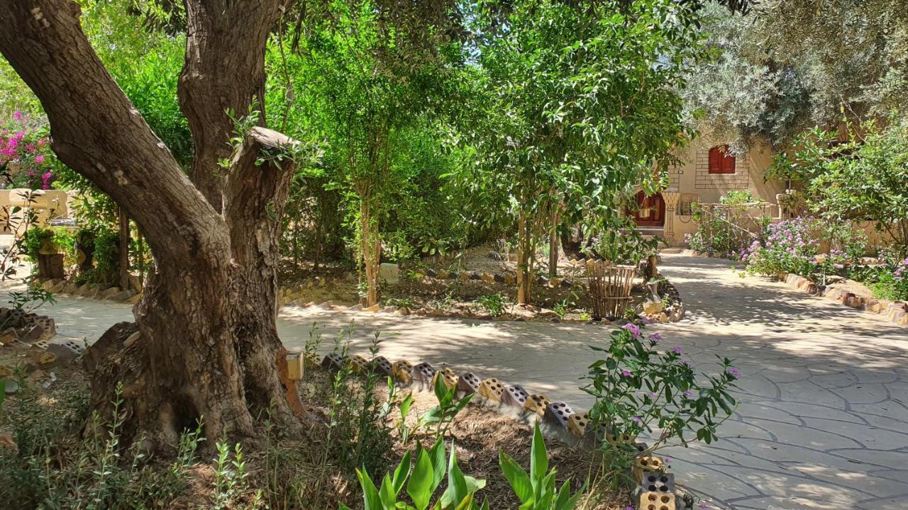 Mountain Camp Ali Khaled Hotel *