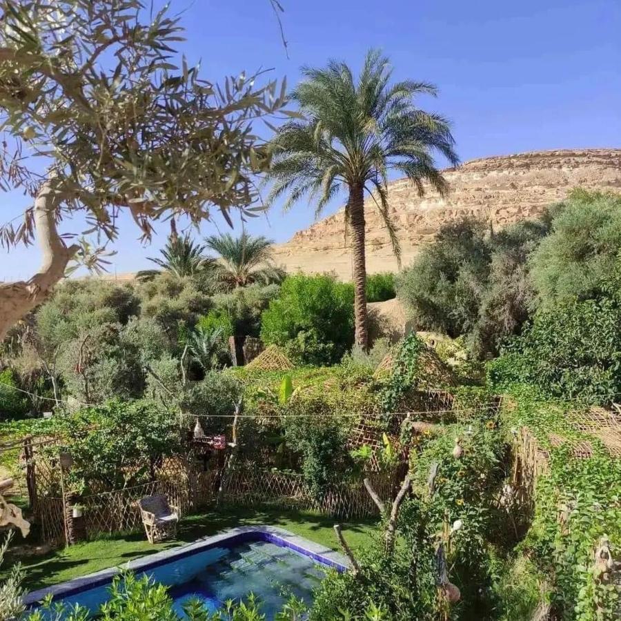 Mountain Camp Ali Khaled Siwa Oasis